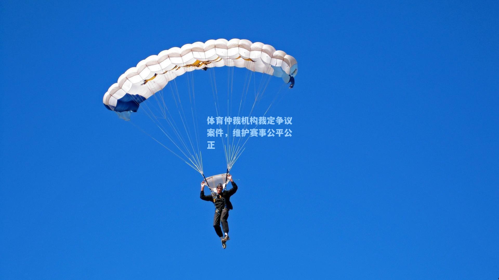 体育仲裁机构裁定争议案件，维护赛事公平公正