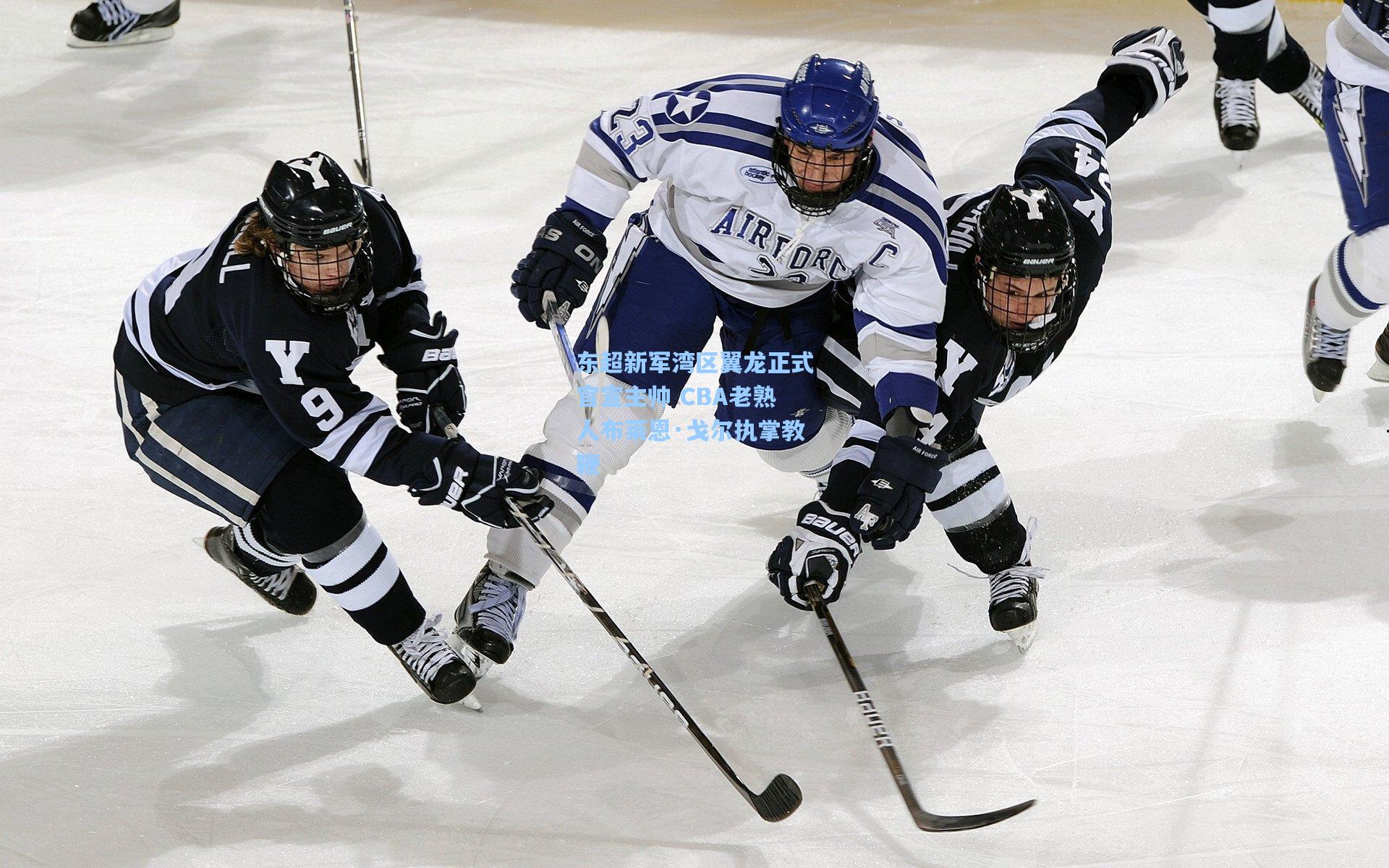 东超新军湾区翼龙正式官宣主帅 CBA老熟人布莱恩·戈尔执掌教鞭